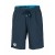 Arena szorty Bermuda Team Panel