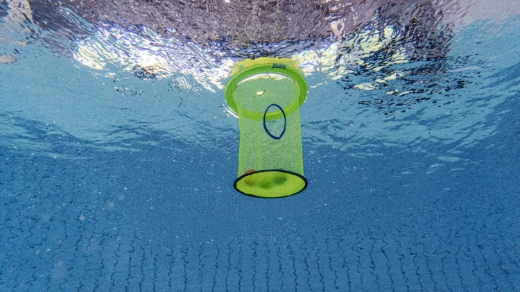 pływający- kosz-z- piłkami-w-basenie-widok-od-dołu.jpg