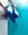 Dolphin_S_300_8.jpg