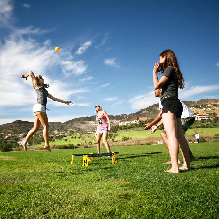 Gra reakcyjna Spikeball „Standard” 2.jpg