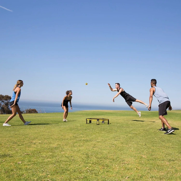 spikeball-pro8.jpg