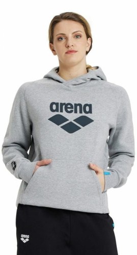 Arena bluza unisex Team Hooded szara