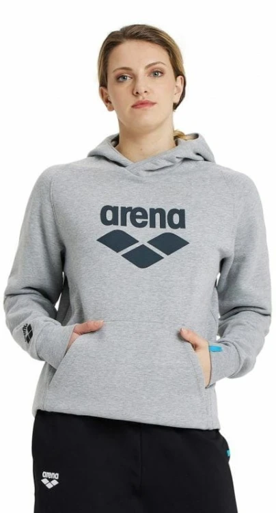 Arena bluza unisex Team Hooded szara