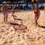 gra-plenerowa-funsport-xball-73090-2.jpg