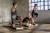 Airex-mata-Fitline-100-czarna.jpg