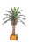 Palma sztuczna Cykas Sagowiec