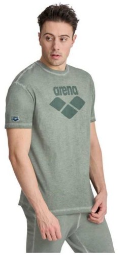 koszulka-sportowa-unisex-arena-icons-t-shirt-sage-delave-_6.jpg