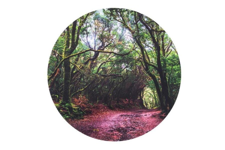 Mata do stolików sensorycznych las