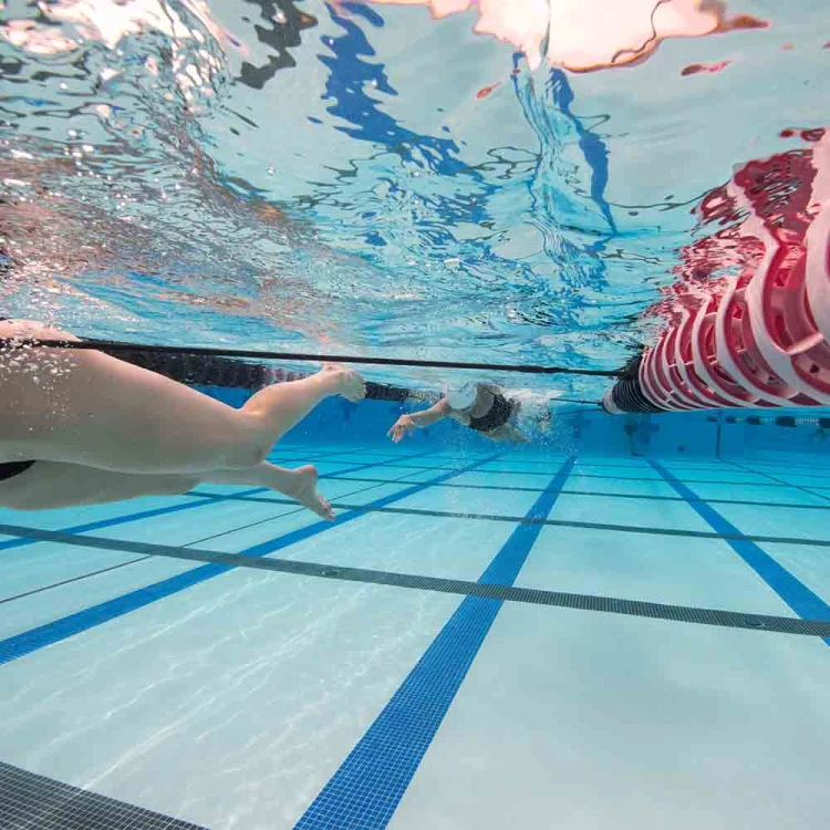 Strechcordz Stationary Swim Trainer