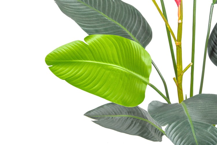 Sztuczne drzewko Strelizia Rajski Ptak w donicy