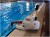 Podnośnik basenowy dla niepełnosprawnych Panda Pool