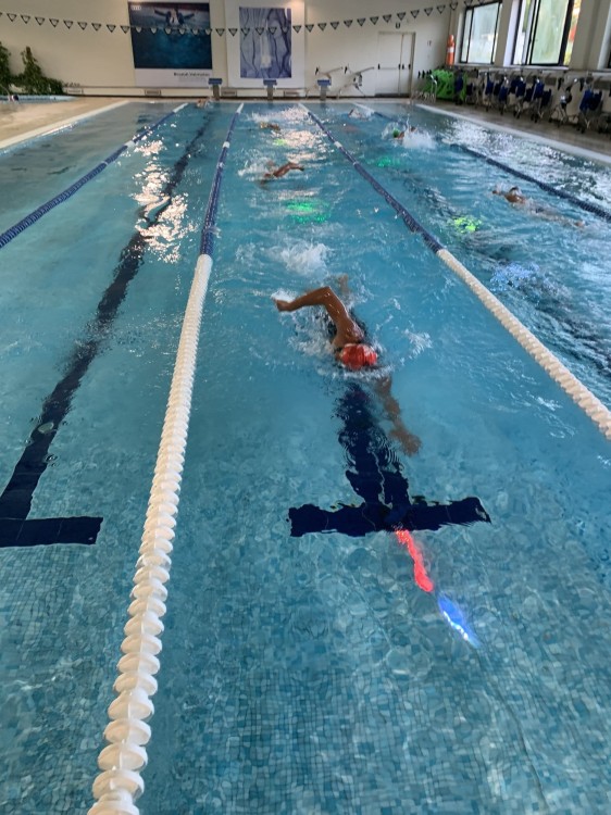 System treningowy VST