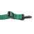 Strechcordz Stationary Swim Trainer