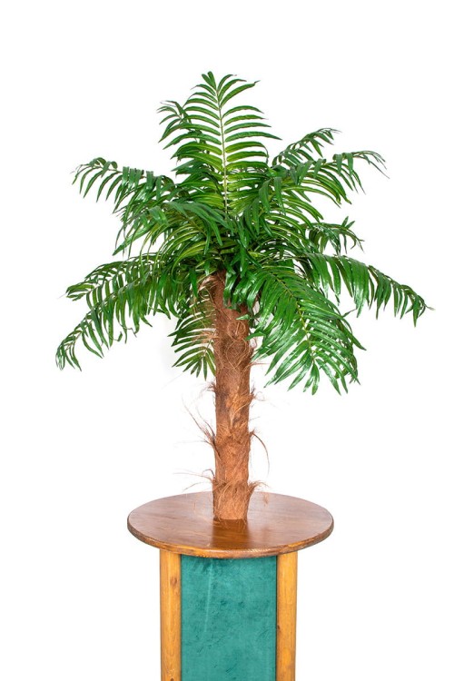 Stolik koktajlowy z palmą
