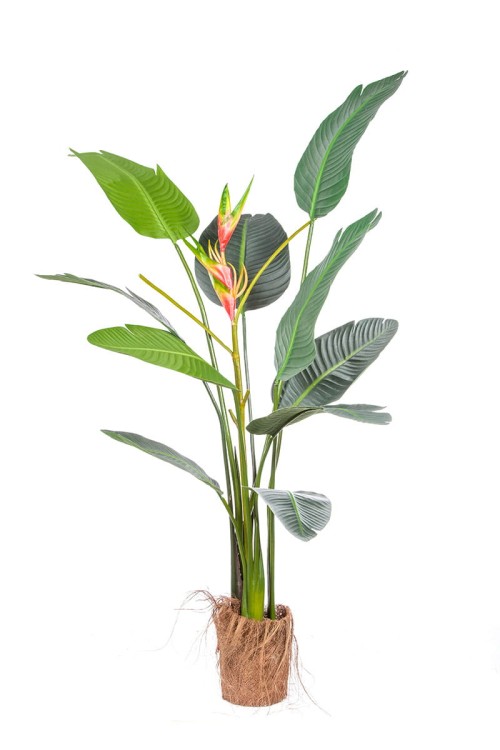 Sztuczne drzewko Strelizia Rajski Ptak w donicy