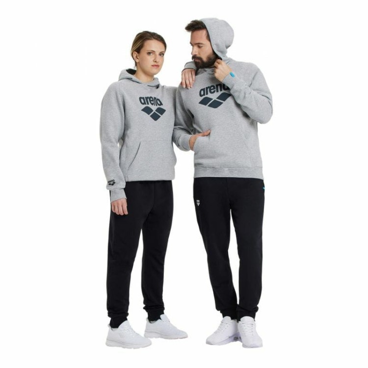 Arena bluza unisex Team Hooded szara