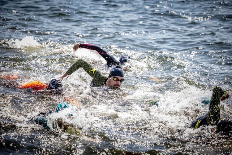 Zoggs pianka triathlonowa męska Predator Pro