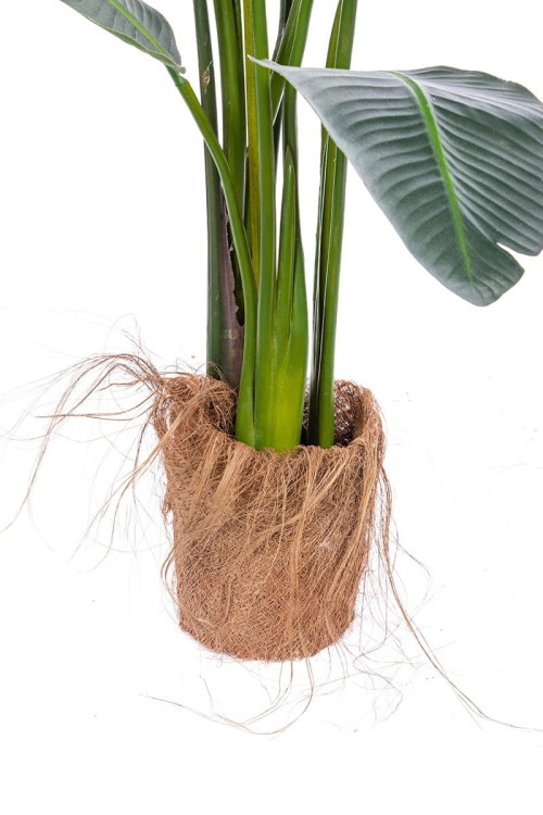 Sztuczne drzewko Strelizia Rajski Ptak w donicy